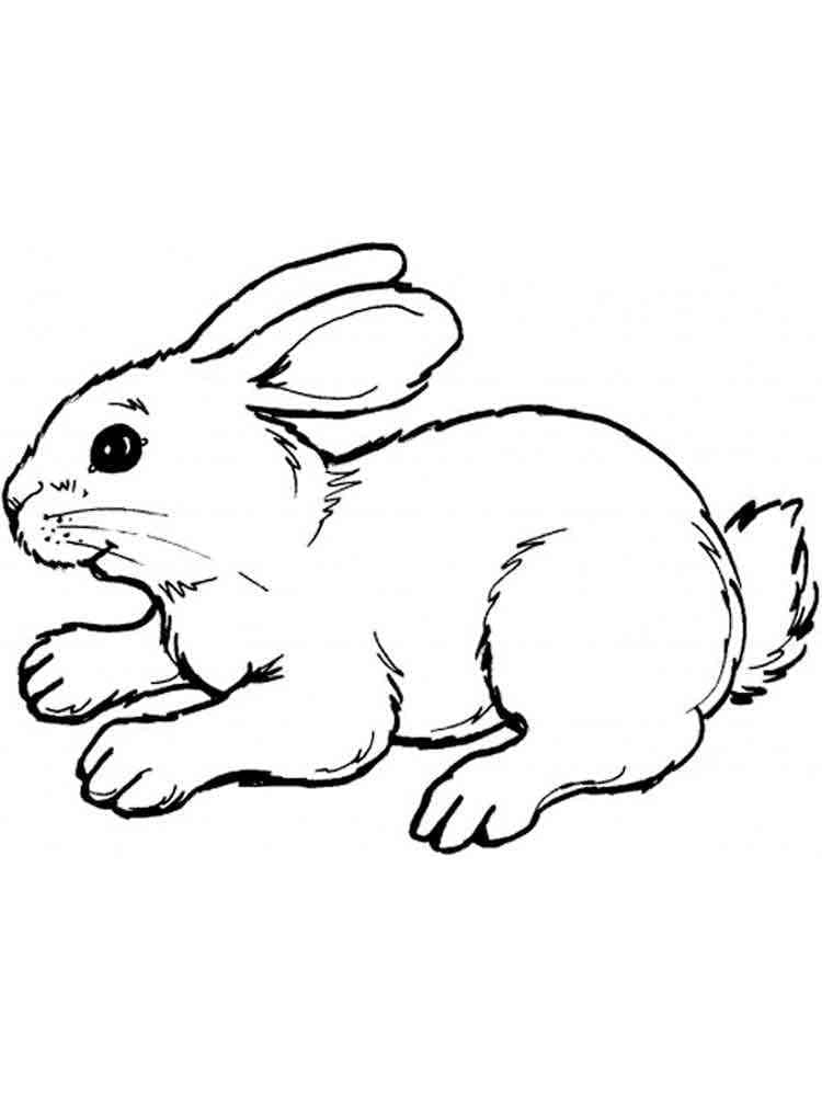 Dibujo gratuito Liebre #209032 de la coleccion Animales para imprimir