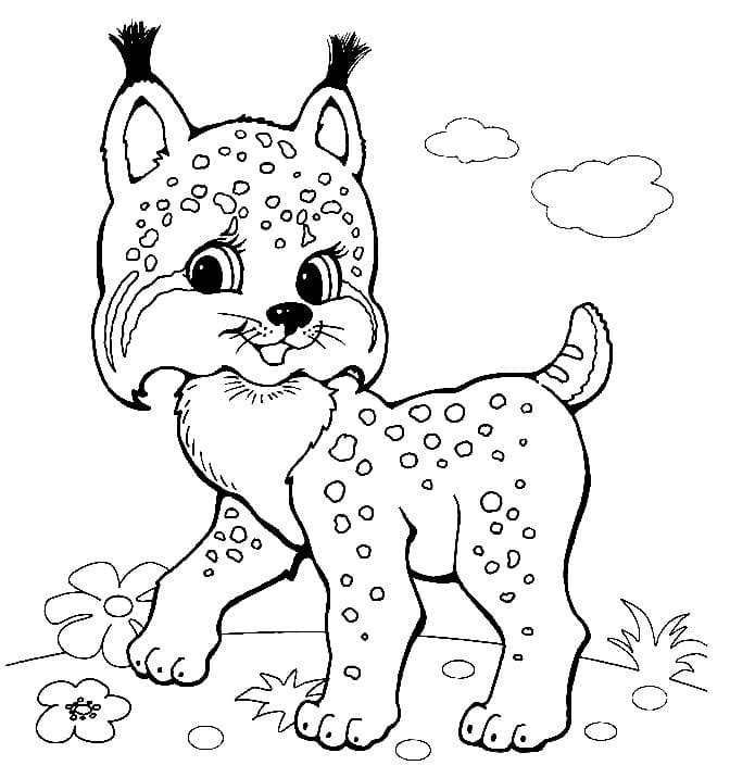 Dibujo gratuito Lince #189221 de la coleccion Animales para imprimir