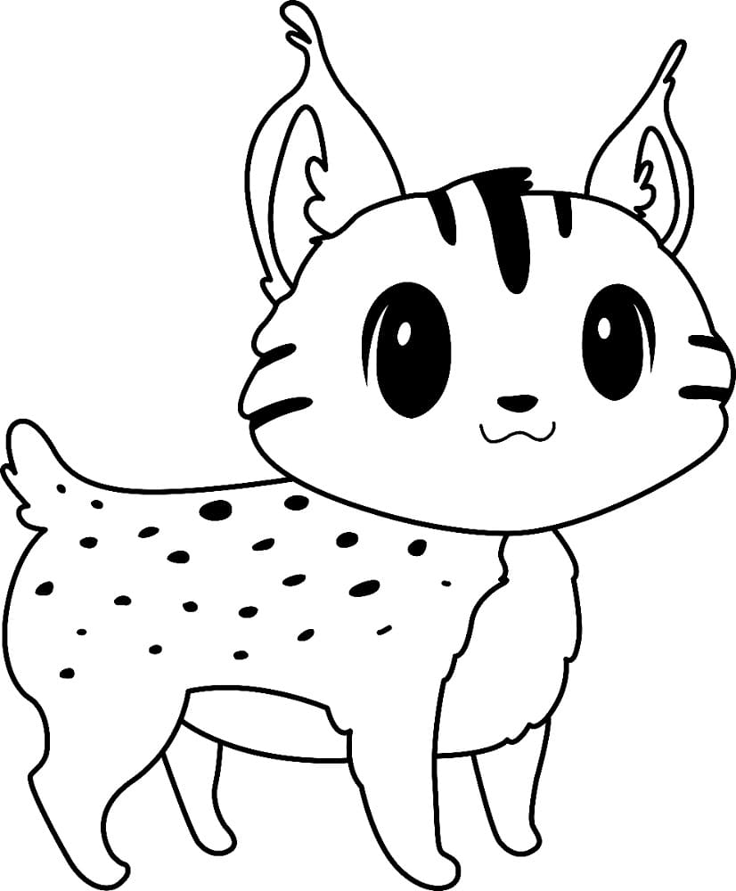 Dibujo gratuito Lince #189222 de la coleccion Animales para imprimir