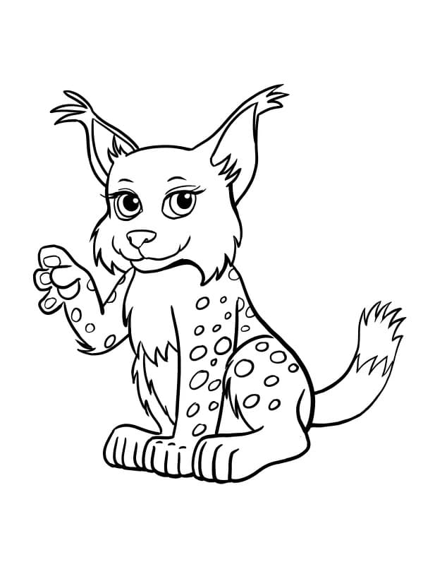 Dibujo gratuito Lince #189232 de la coleccion Animales para imprimir
