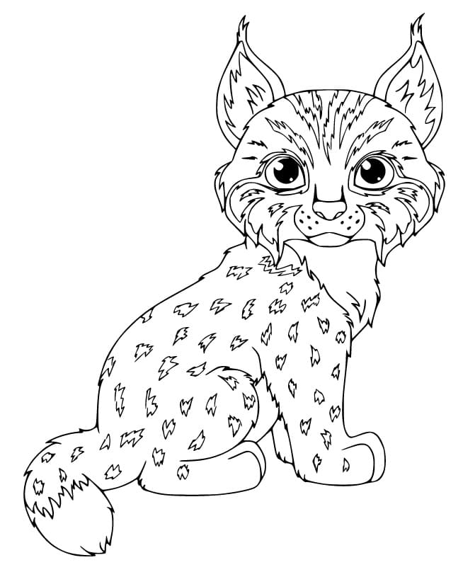 Dibujo gratuito Lince #189248 de la coleccion Animales para imprimir