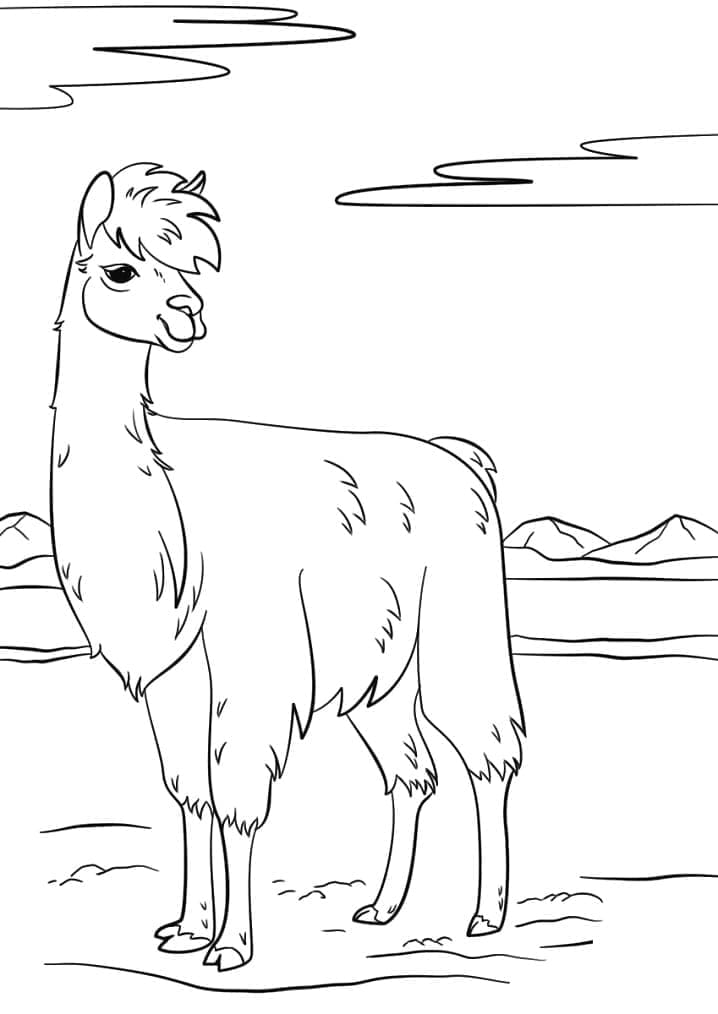 Dibujo gratuito Llama #179525 de la coleccion Animales para imprimir