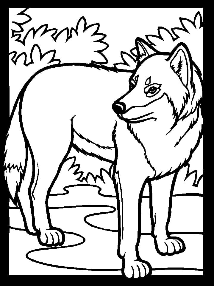Dibujo gratuito Lobo #175250 de la coleccion Animales para imprimir