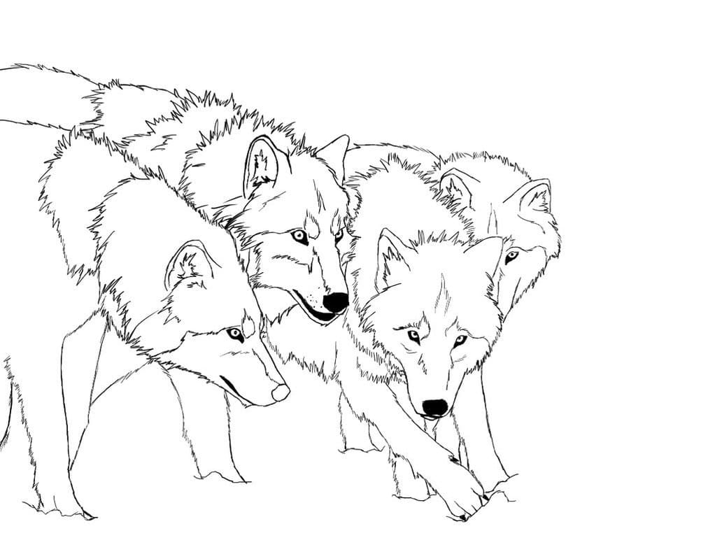 Dibujo gratuito Lobo #175270 de la coleccion Animales para imprimir