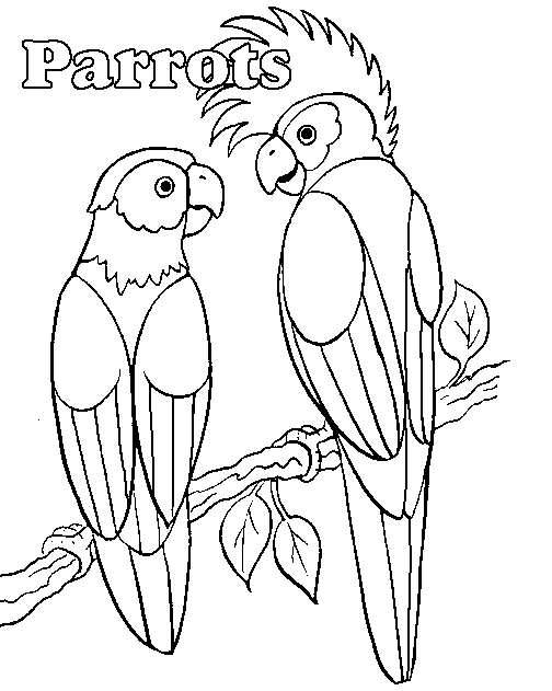 Dibujo gratuito Loro #16068 de la coleccion Animales para imprimir