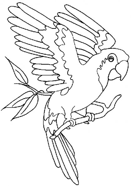 Dibujo para colorear: Loro (Animales) #16072 - Dibujos para Colorear e Imprimir Gratis