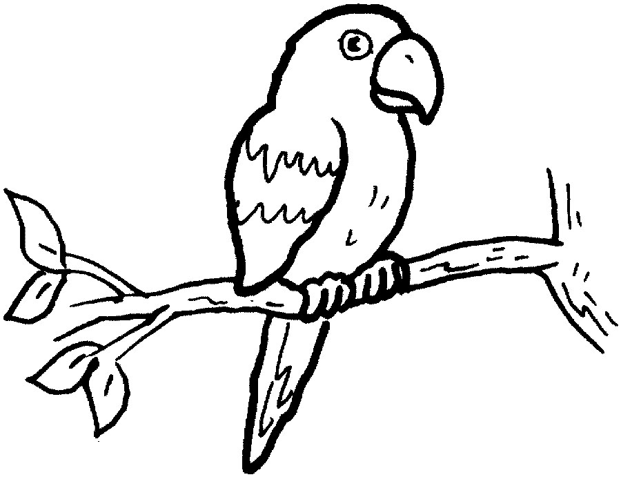 Dibujo para colorear: Loro (Animales) #16074 - Dibujos para Colorear e Imprimir Gratis