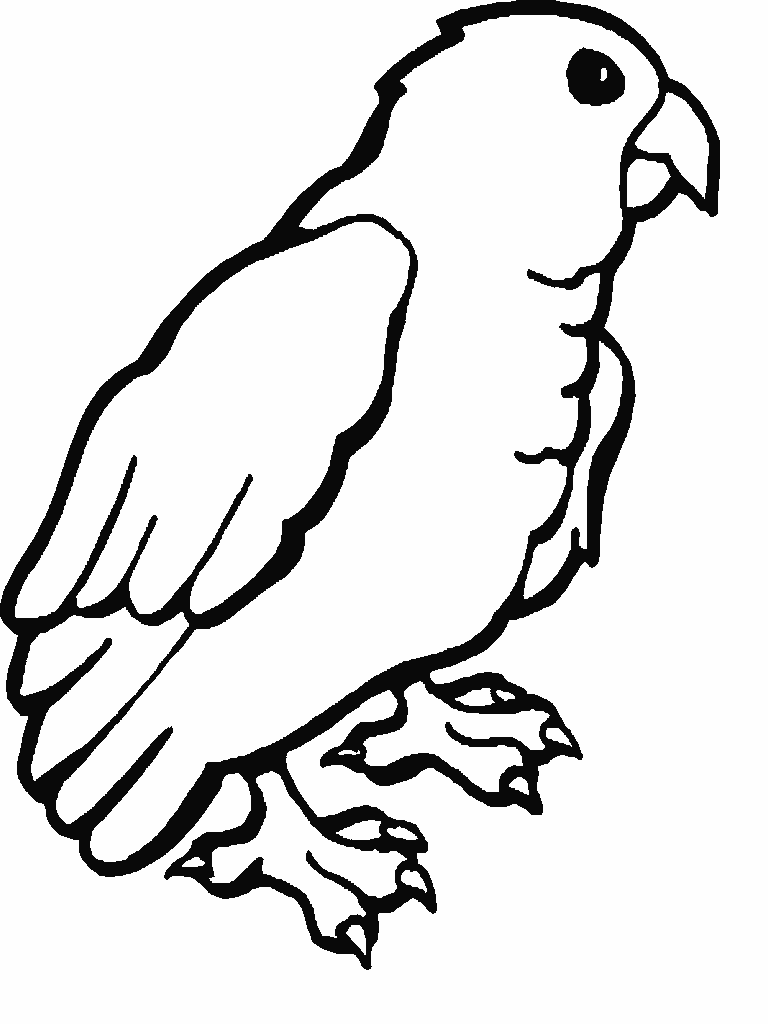 Dibujo gratuito Loro #16109 de la coleccion Animales para imprimir
