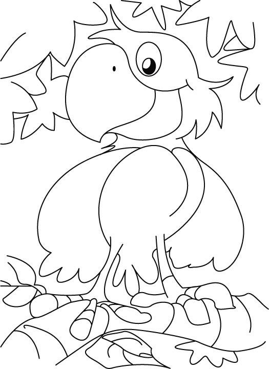 Dibujo gratuito Loro #16159 de la coleccion Animales para imprimir