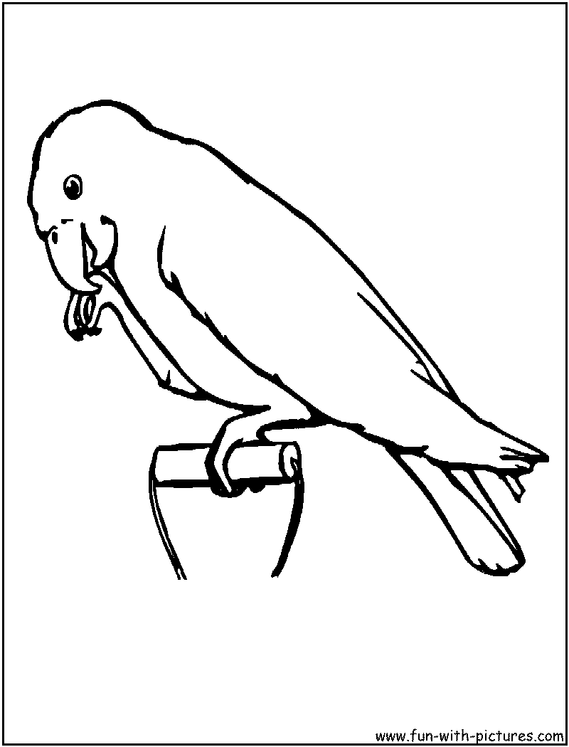 Dibujo gratuito Loro #16241 de la coleccion Animales para imprimir