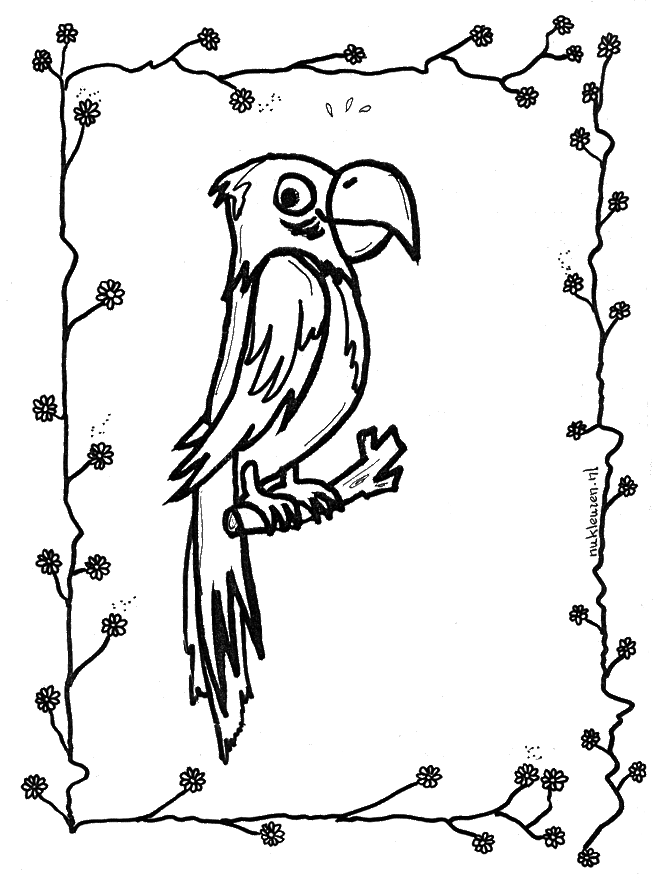 Dibujo gratuito Loro #16245 de la coleccion Animales para imprimir Dibujo gratuito Loro #16245 de la coleccion Animales para imprimir