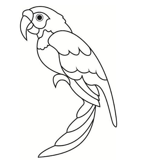 Dibujo gratuito Loro #179096 de la coleccion Animales para imprimir