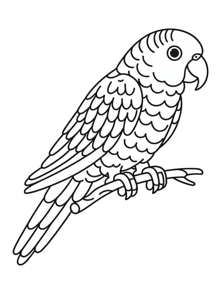 Dibujo gratuito Loro #217787 de la coleccion Animales para imprimir