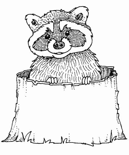 Dibujo gratuito Mapache #208507 de la coleccion Animales para imprimir
