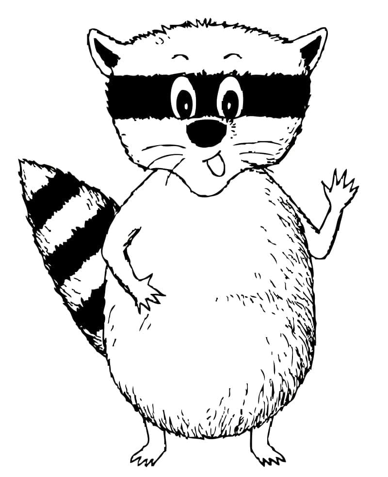 Dibujo gratuito Mapache #208513 de la coleccion Animales para imprimir Dibujo gratuito Mapache #208513 de la coleccion Animales para imprimir