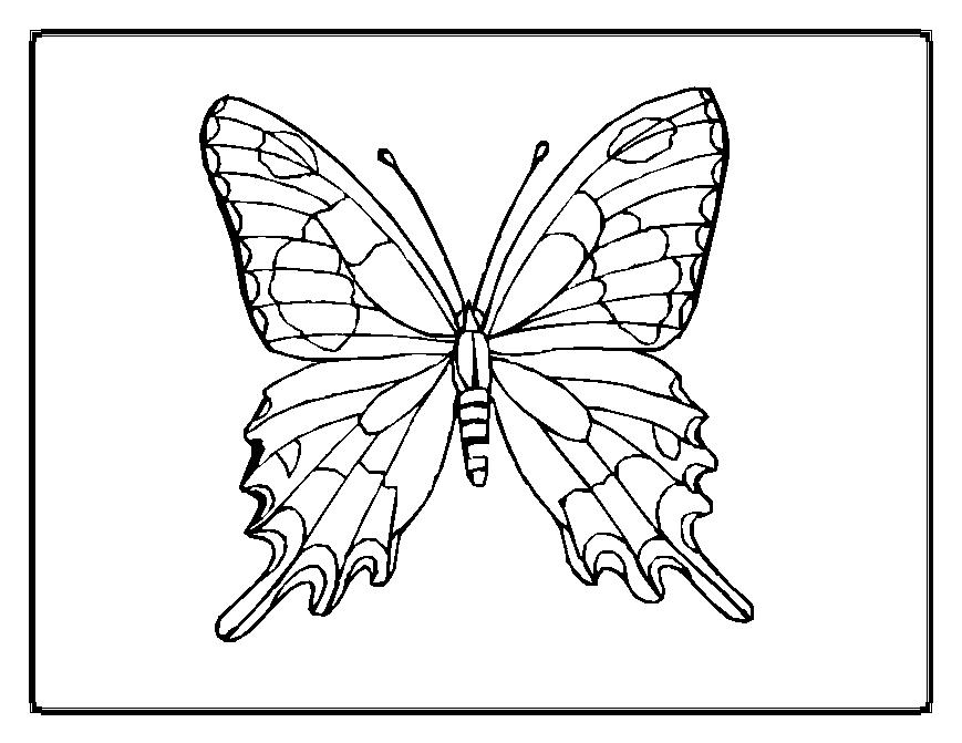 Dibujo para colorear: Mariposa (Animales) #15678 - Dibujos para Colorear e Imprimir Gratis