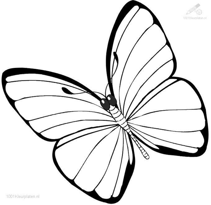 Dibujo para colorear: Mariposa (Animales) #15680 - Dibujos para Colorear e Imprimir Gratis