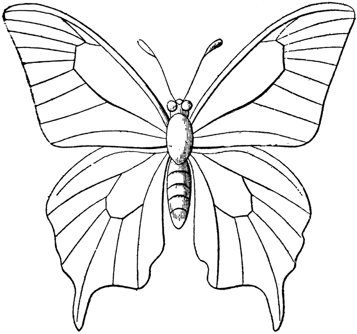 Dibujo para colorear: Mariposa (Animales) #15693 - Dibujos para Colorear e Imprimir Gratis