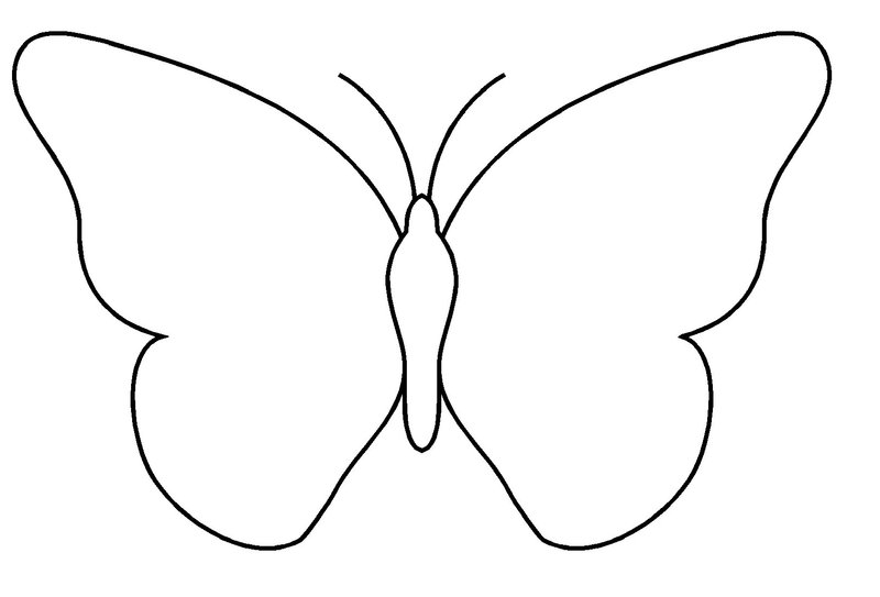 tímido Centímetro roble Dibujos de Mariposa (Animales) para colorear – Páginas imprimibles gratis