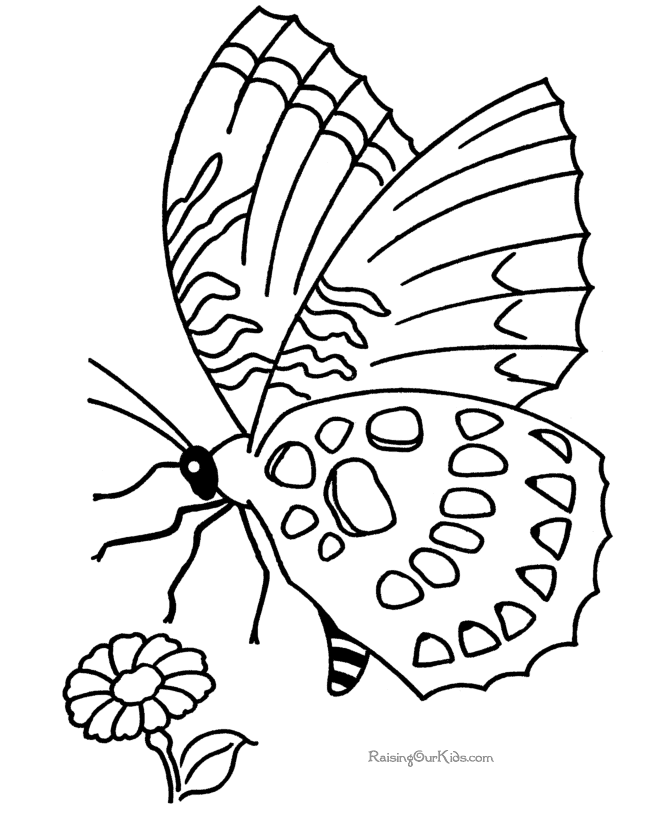 Dibujo para colorear: Mariposa (Animales) #15720 - Dibujos para Colorear e Imprimir Gratis