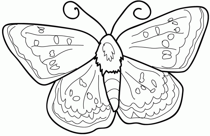 Dibujo para colorear: Mariposa (Animales) #15740 - Dibujos para Colorear e Imprimir Gratis