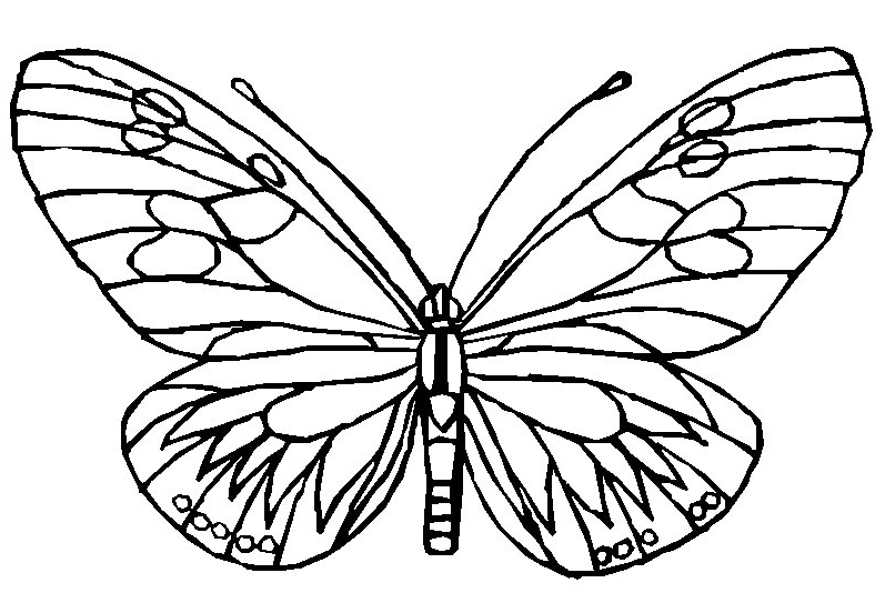 Dibujo para colorear: Mariposa (Animales) #15745 - Dibujos para Colorear e Imprimir Gratis