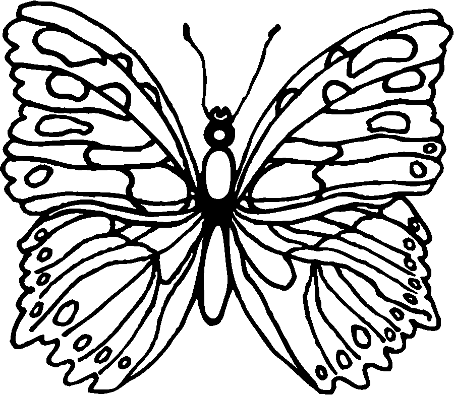 Dibujo para colorear: Mariposa (Animales) #15746 - Dibujos para Colorear e Imprimir Gratis