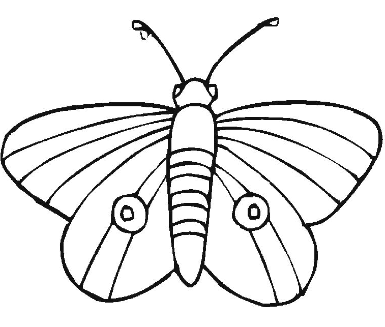 Dibujo para colorear: Mariposa (Animales) #15752 - Dibujos para Colorear e Imprimir Gratis