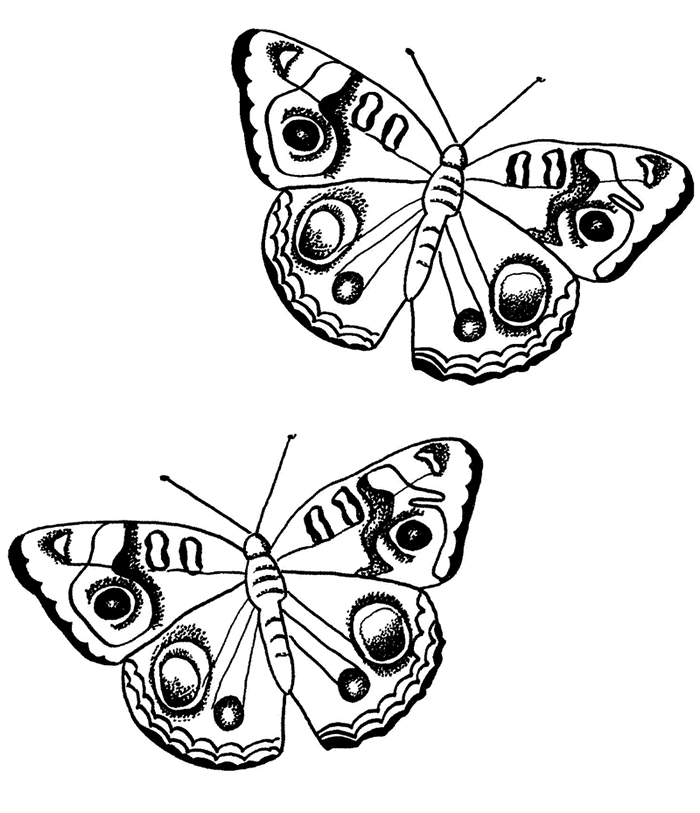 Dibujo para colorear: Mariposa (Animales) #15764 - Dibujos para Colorear e Imprimir Gratis