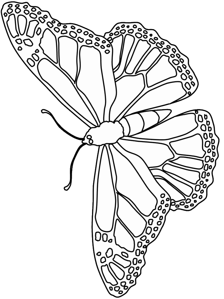 Dibujo para colorear: Mariposa (Animales) #15773 - Dibujos para Colorear e Imprimir Gratis