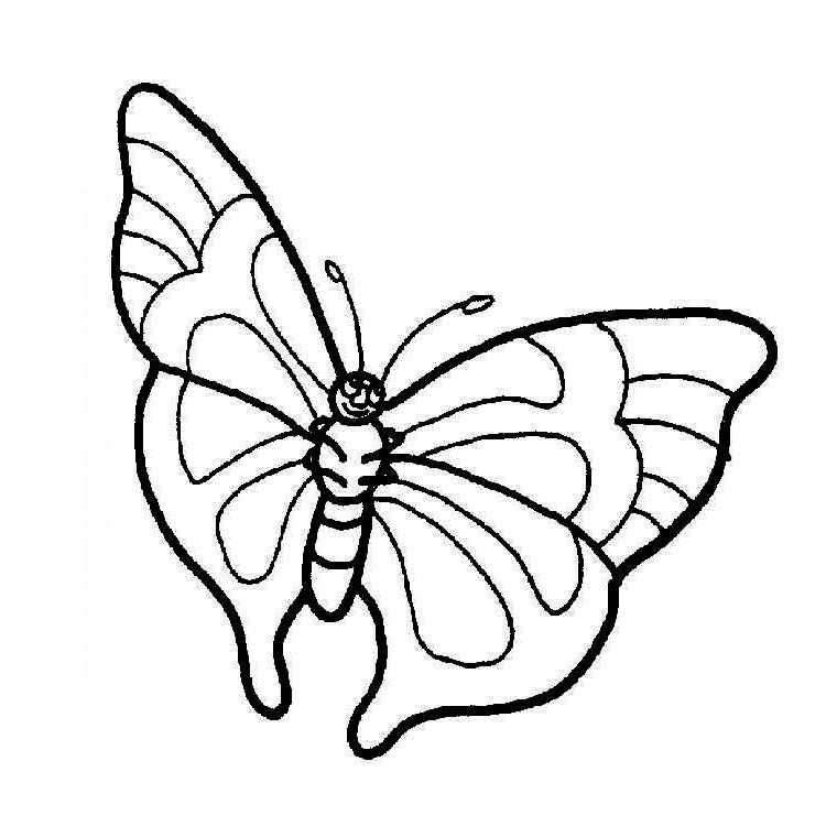 Dibujo para colorear: Mariposa (Animales) #15777 - Dibujos para Colorear e Imprimir Gratis