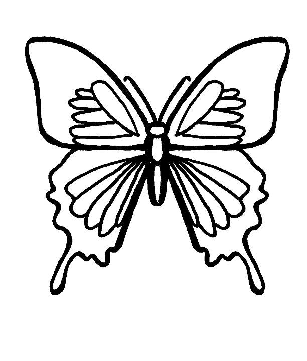 Dibujo para colorear: Mariposa (Animales) #15779 - Dibujos para Colorear e Imprimir Gratis