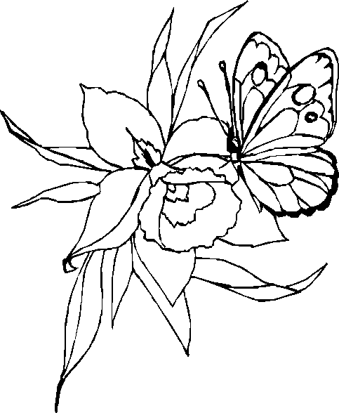 Dibujo para colorear: Mariposa (Animales) #15790 - Dibujos para Colorear e Imprimir Gratis