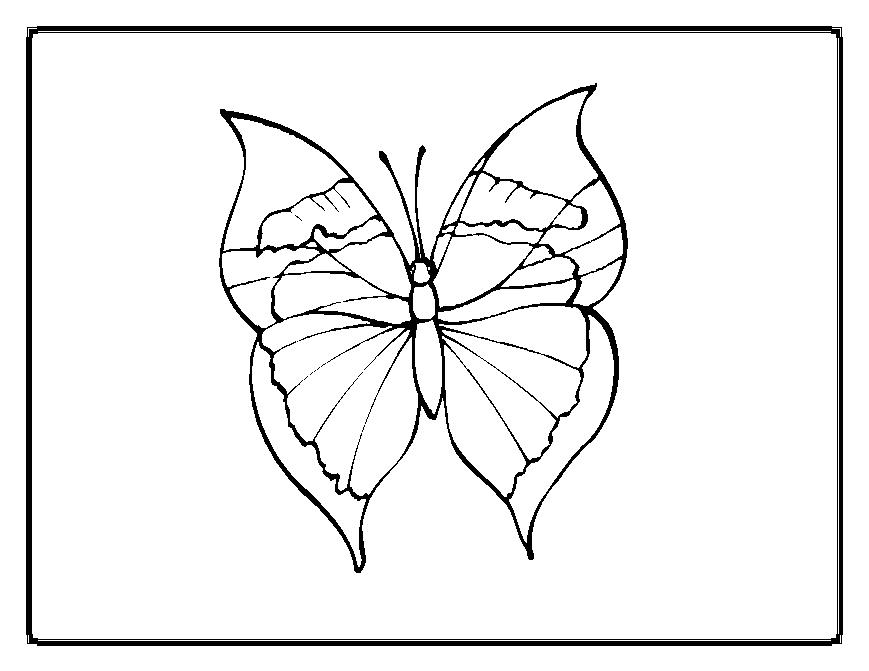 Dibujo para colorear: Mariposa (Animales) #15822 - Dibujos para Colorear e Imprimir Gratis