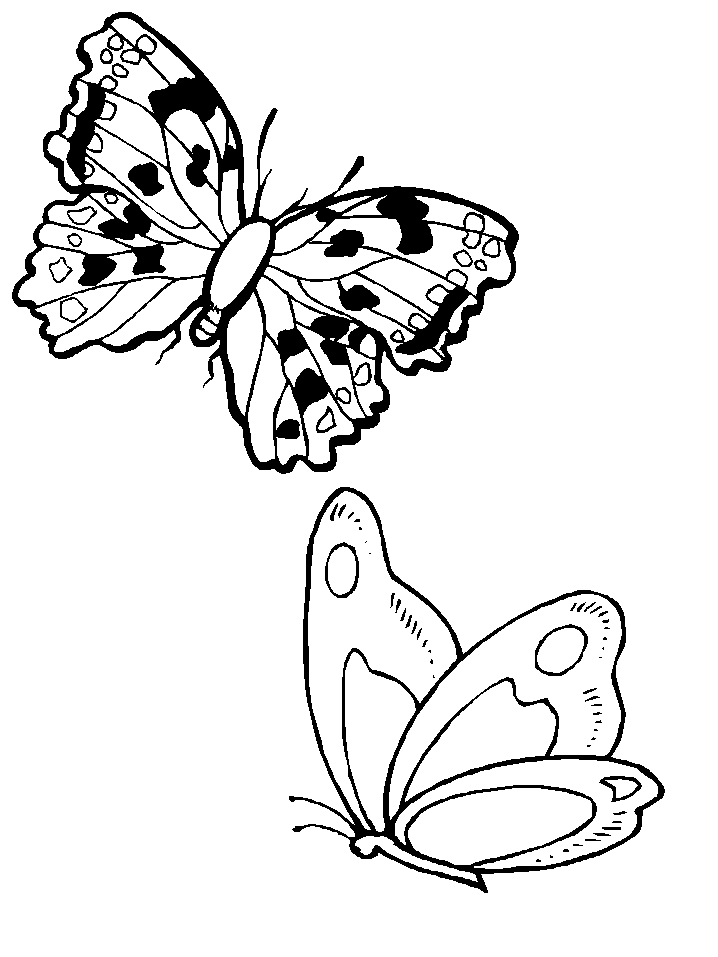 Dibujo para colorear: Mariposa (Animales) #15828 - Dibujos para Colorear e Imprimir Gratis