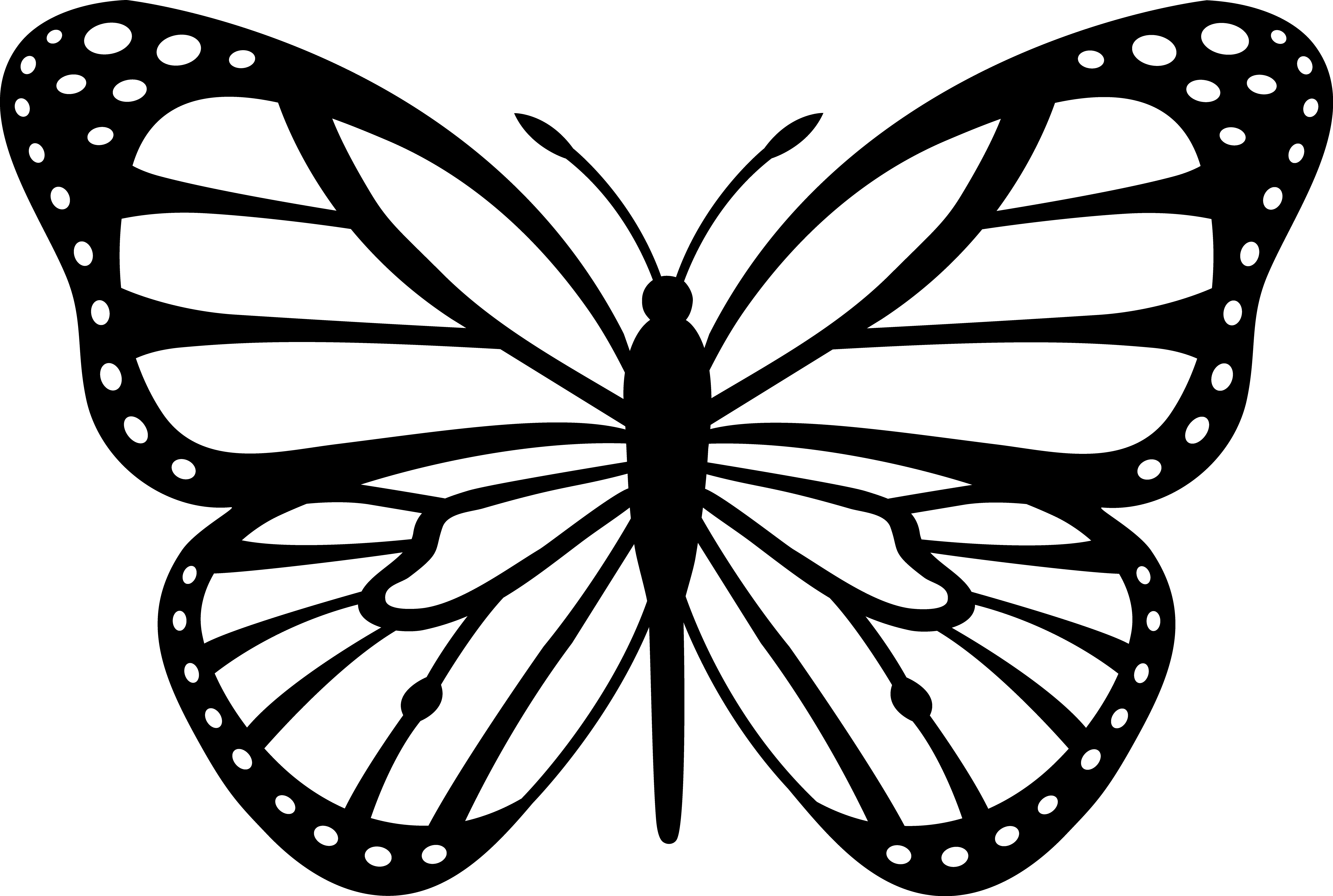 Dibujo para colorear: Mariposa (Animales) #15834 - Dibujos para Colorear e Imprimir Gratis