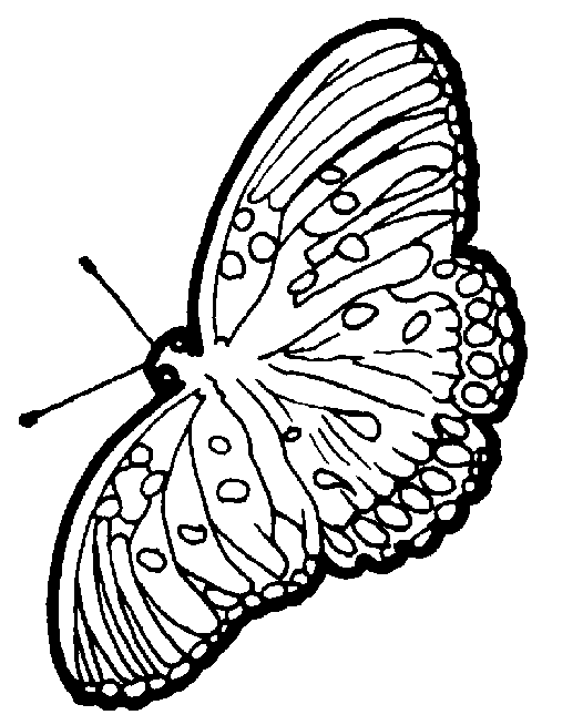 Dibujo para colorear: Mariposa (Animales) #15837 - Dibujos para Colorear e Imprimir Gratis