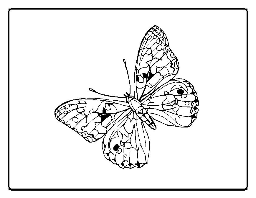Dibujo para colorear: Mariposa (Animales) #15838 - Dibujos para Colorear e Imprimir Gratis
