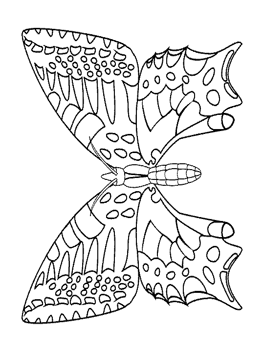 Dibujo para colorear: Mariposa (Animales) #15844 - Dibujos para Colorear e Imprimir Gratis