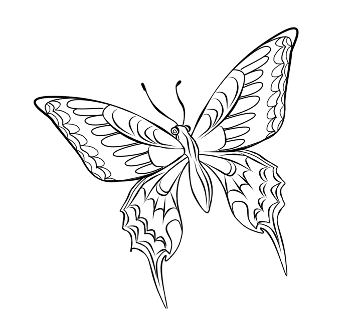 Dibujo para colorear: Mariposa (Animales) #15846 - Dibujos para Colorear e Imprimir Gratis