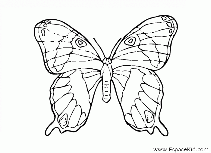 Dibujo para colorear: Mariposa (Animales) #15857 - Dibujos para Colorear e Imprimir Gratis