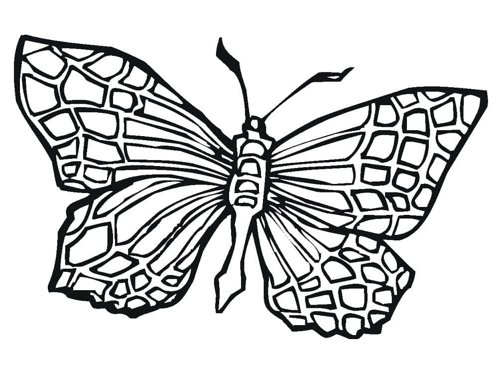 Dibujo gratuito Mariposa #175096 de la coleccion Animales para imprimir Dibujo gratuito Mariposa #175096 de la coleccion Animales para imprimir
