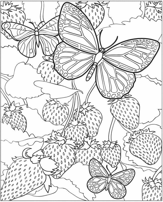 Dibujo gratuito Mariposa #175113 de la coleccion Animales para imprimir