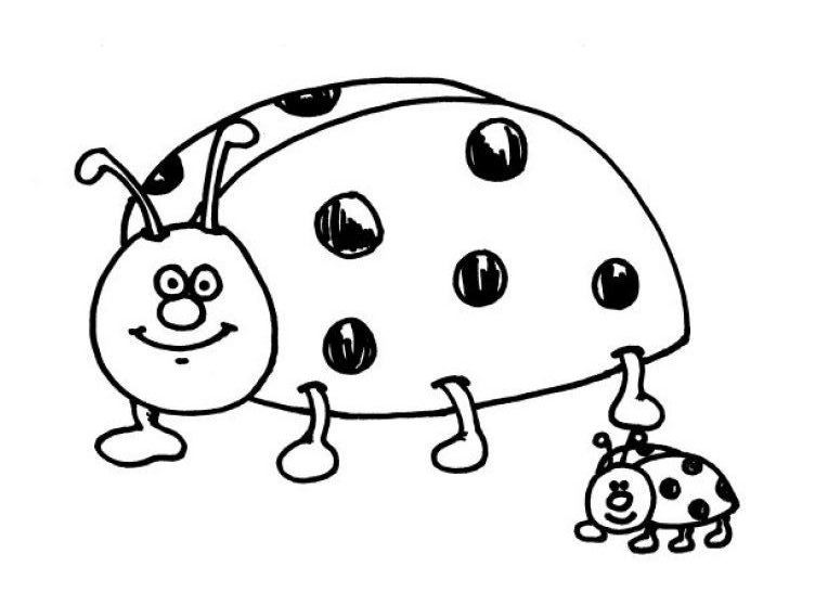Dibujo para colorear: Mariquita (Animales) #3421 - Dibujos para Colorear e Imprimir Gratis