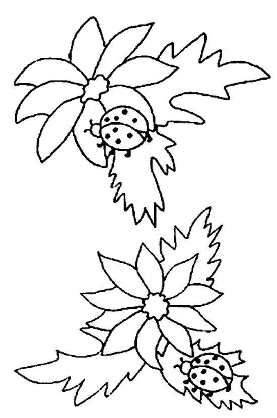 Dibujo para colorear: Mariquita (Animales) #3581 - Dibujos para Colorear e Imprimir Gratis