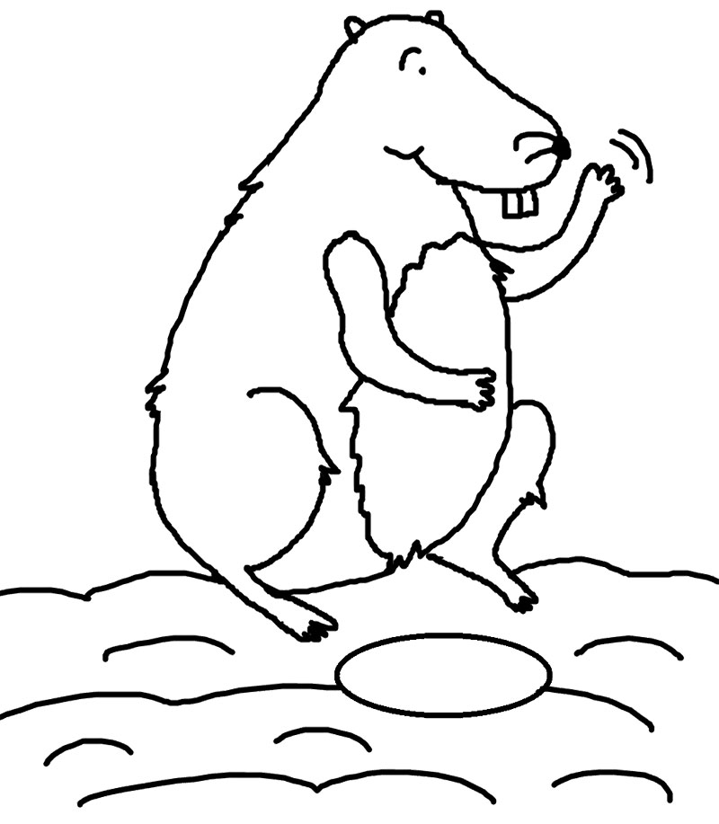 Dibujo para colorear: Marmota (Animales) #10968 - Dibujos para Colorear e Imprimir Gratis