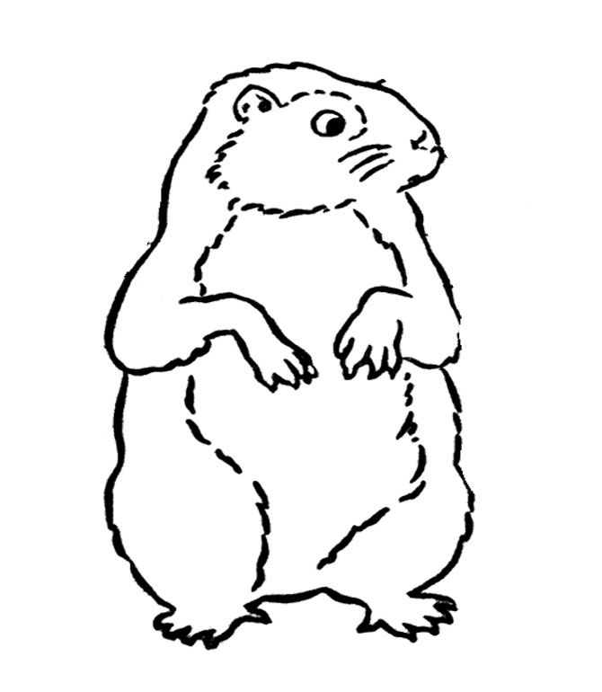Dibujo para colorear: Marmota (Animales) #10985 - Dibujos para Colorear e Imprimir Gratis