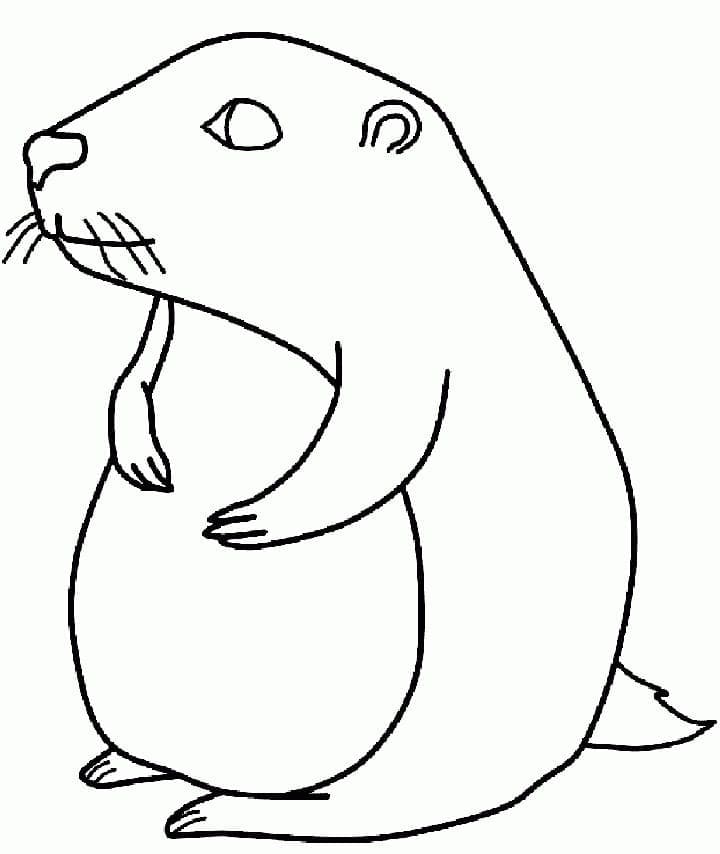 Dibujo gratuito Marmota #212722 de la coleccion Animales para imprimir
