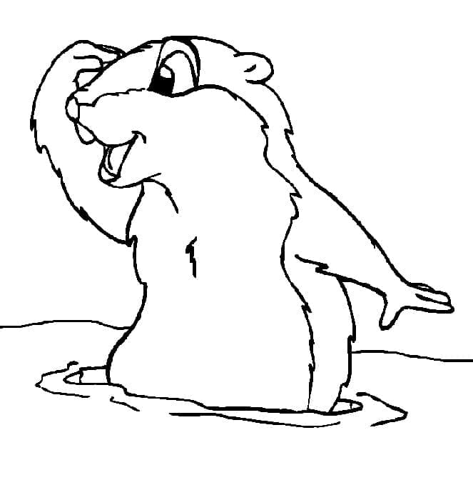 Dibujo gratuito Marmota #212728 de la coleccion Animales para imprimir Dibujo gratuito Marmota #212728 de la coleccion Animales para imprimir