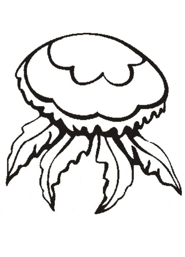Dibujo gratuito Medusa #208789 de la coleccion Animales para imprimir